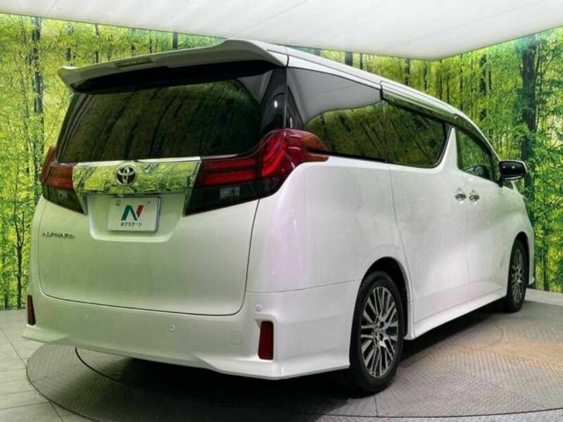 ALPHARD-18