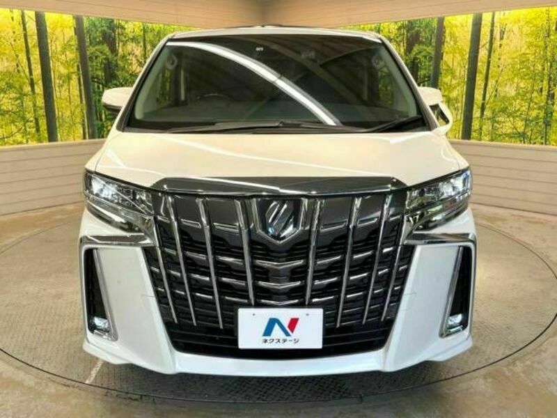 ALPHARD-13