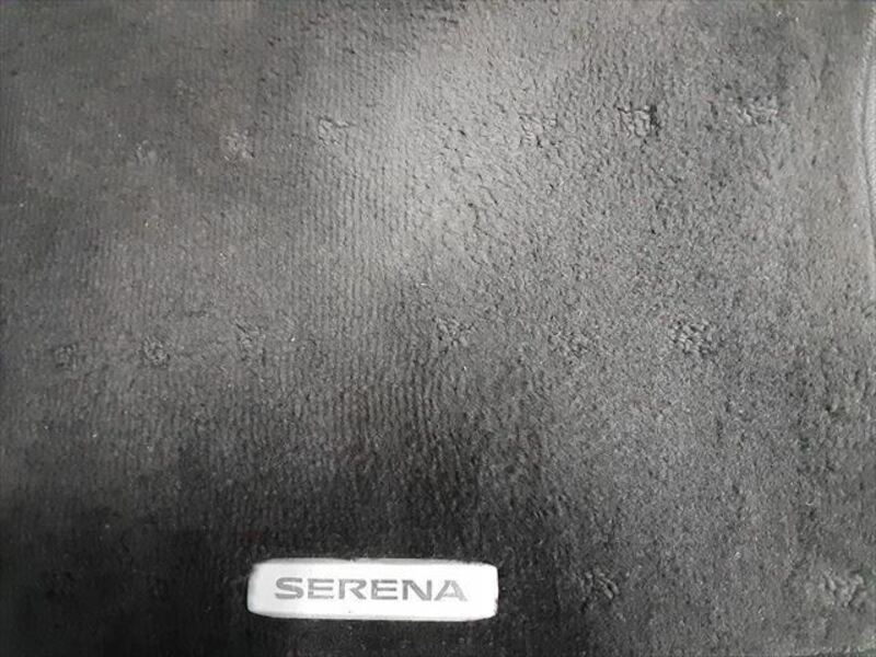 SERENA-45