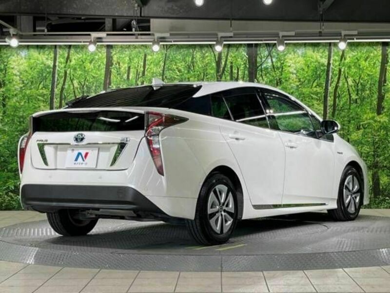 PRIUS-17