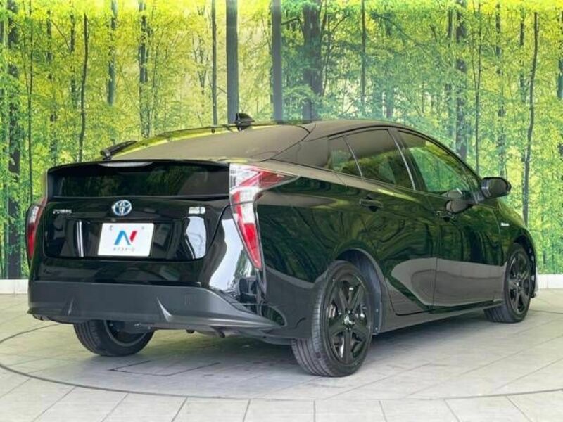 PRIUS-17