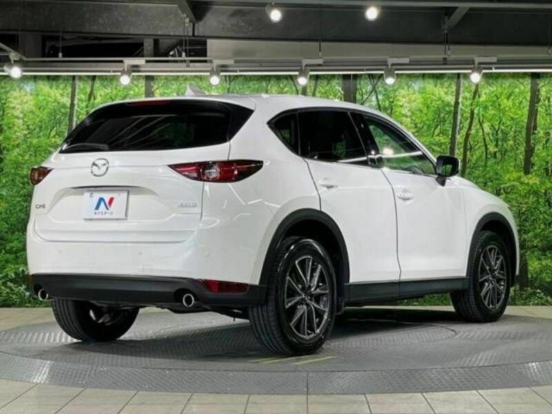 CX-5-17