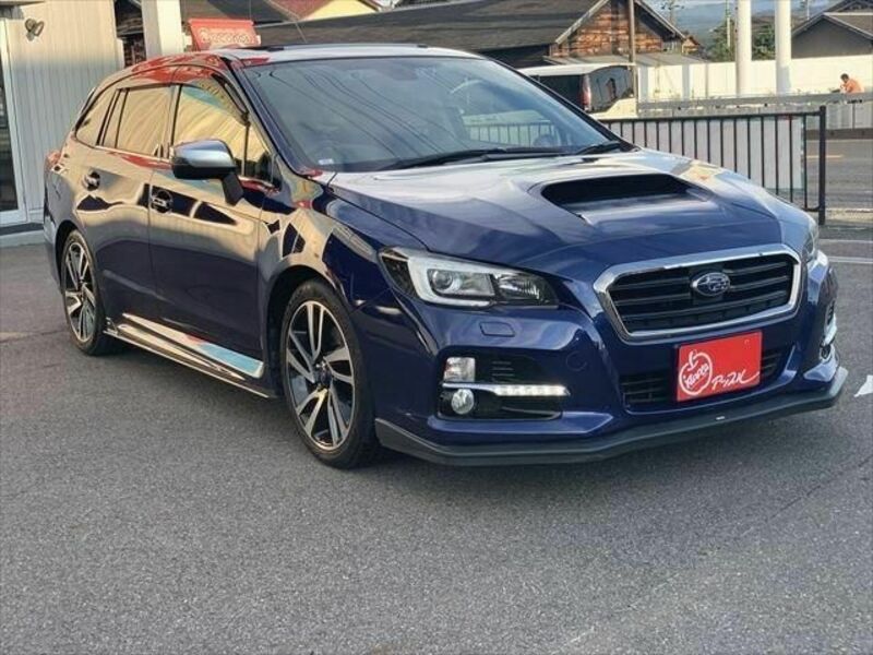 LEVORG