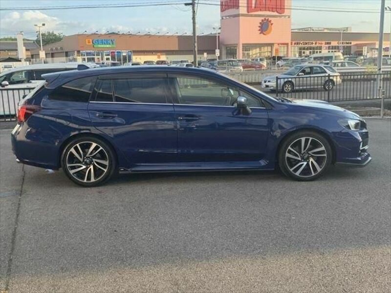 LEVORG