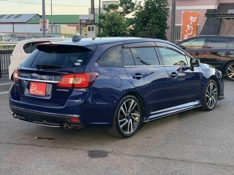 LEVORG