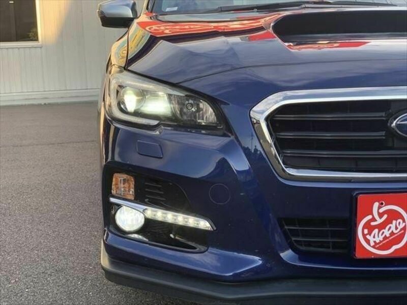 LEVORG