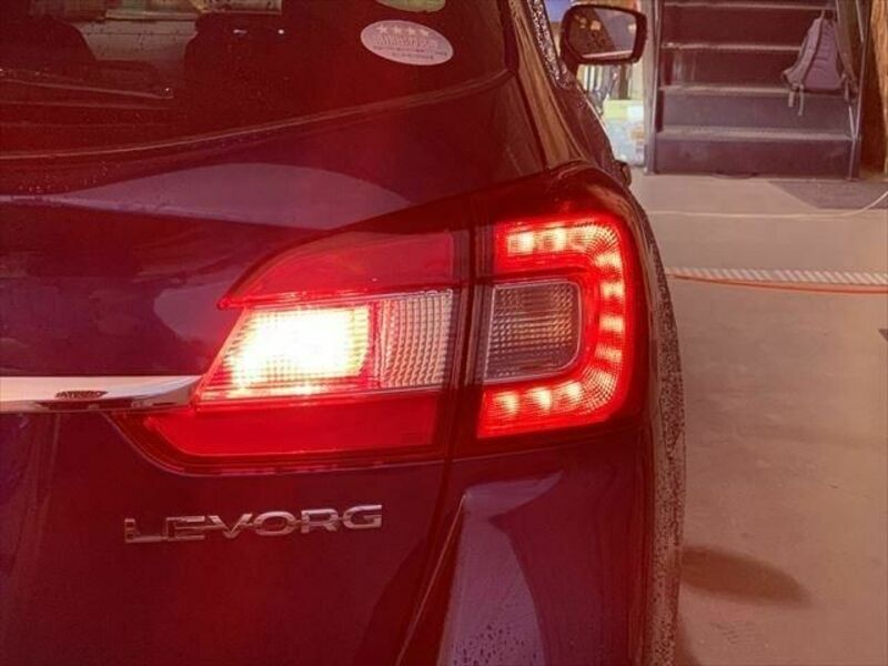 LEVORG