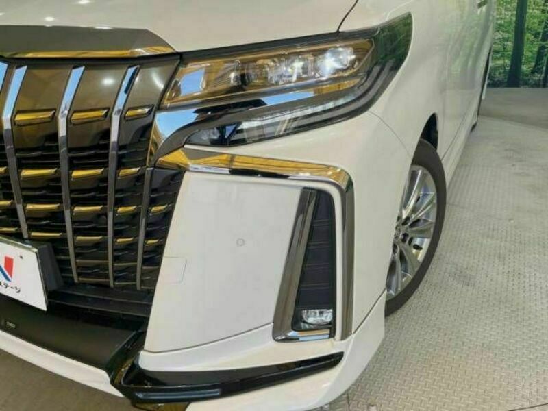 ALPHARD-14