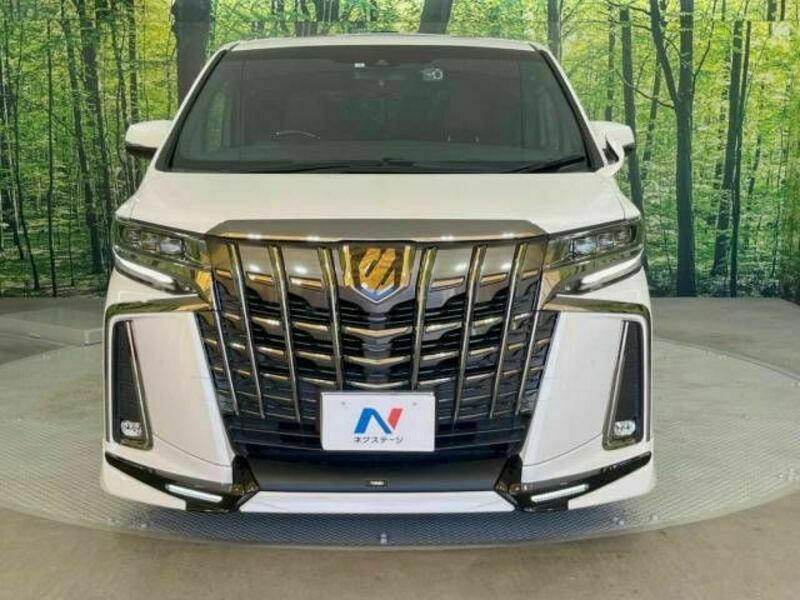 ALPHARD-16