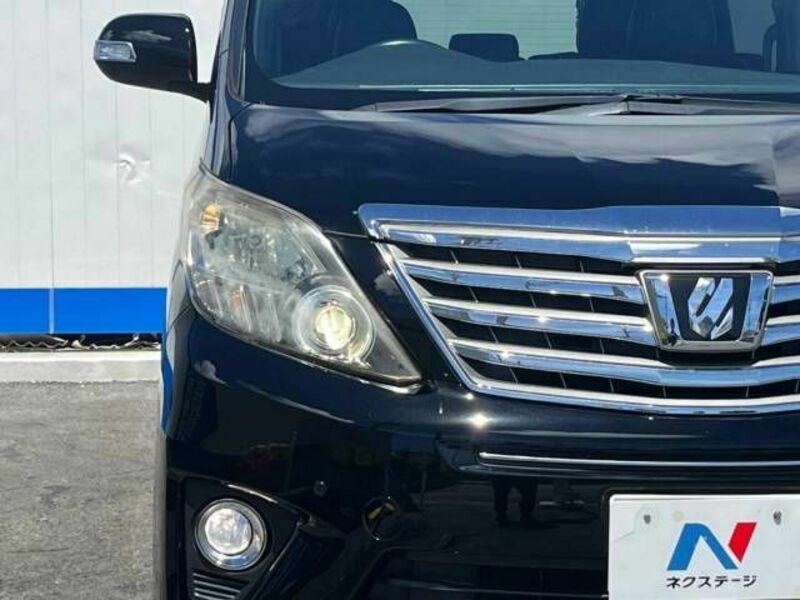 ALPHARD-13