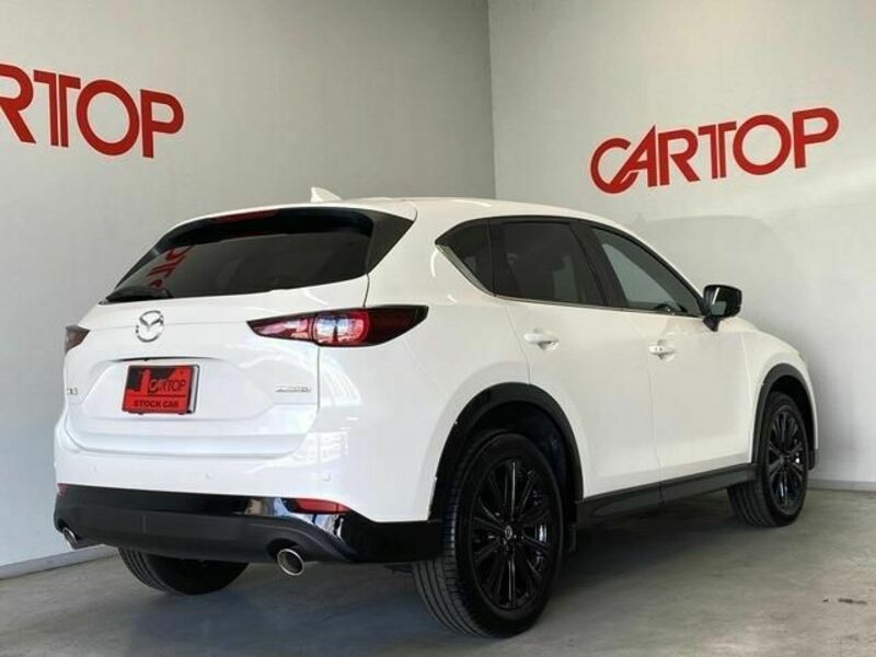 CX-5-3