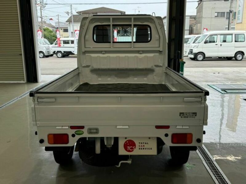 CARRY TRUCK-10