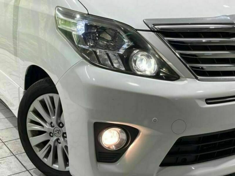 ALPHARD-13