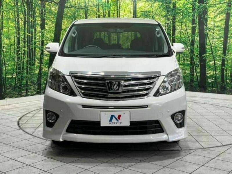 ALPHARD-15