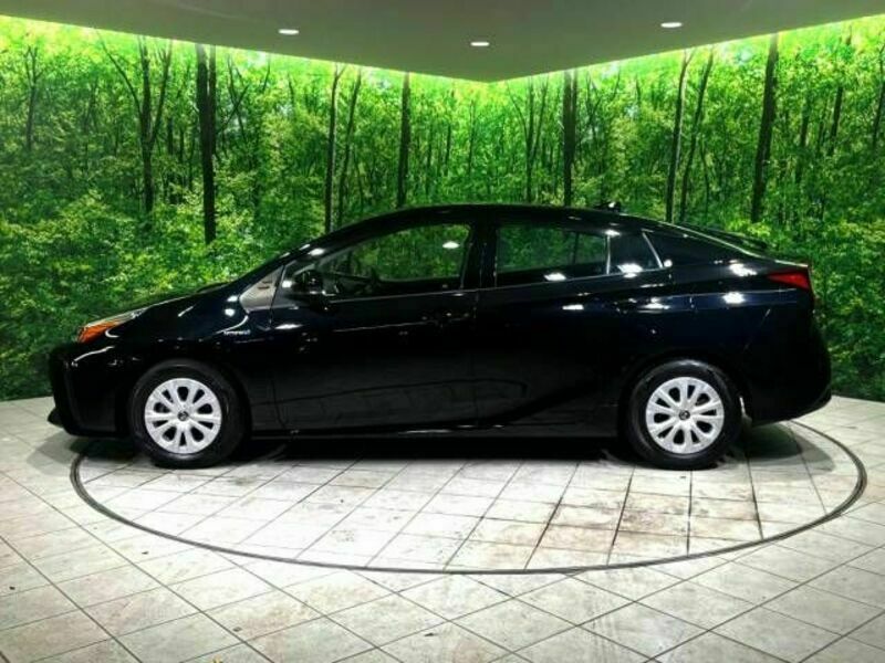 PRIUS-16