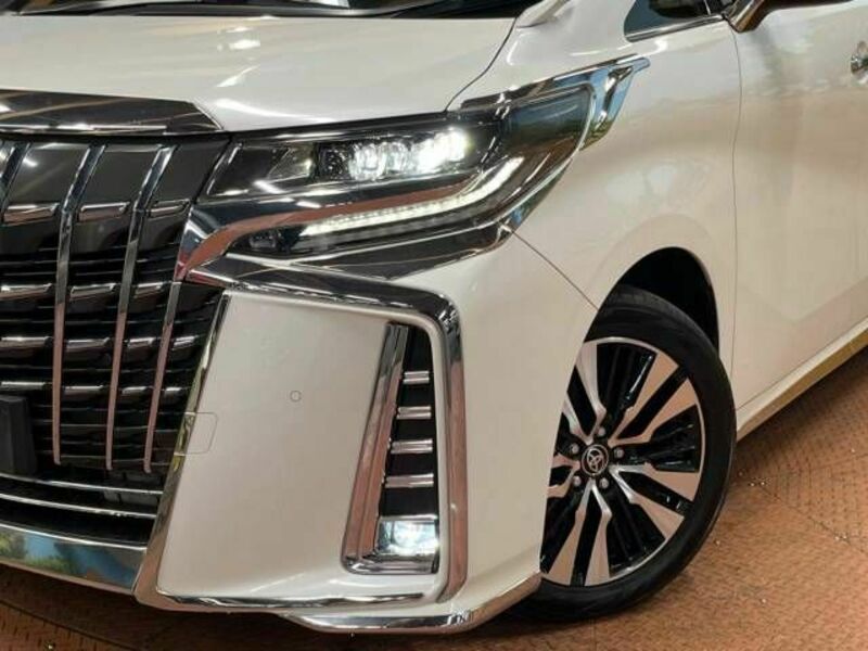 ALPHARD-13