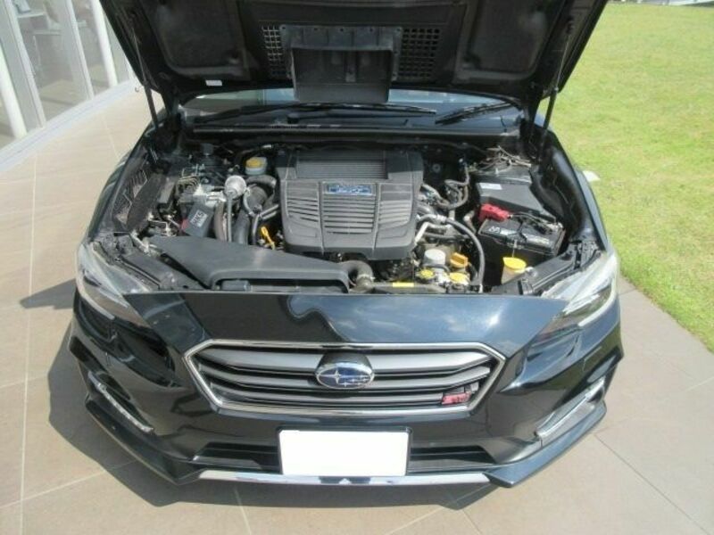 LEVORG-29