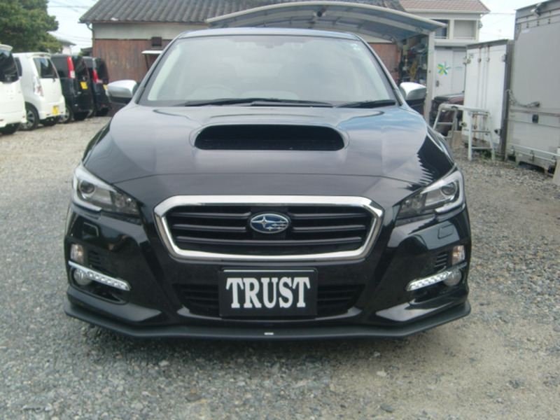 LEVORG