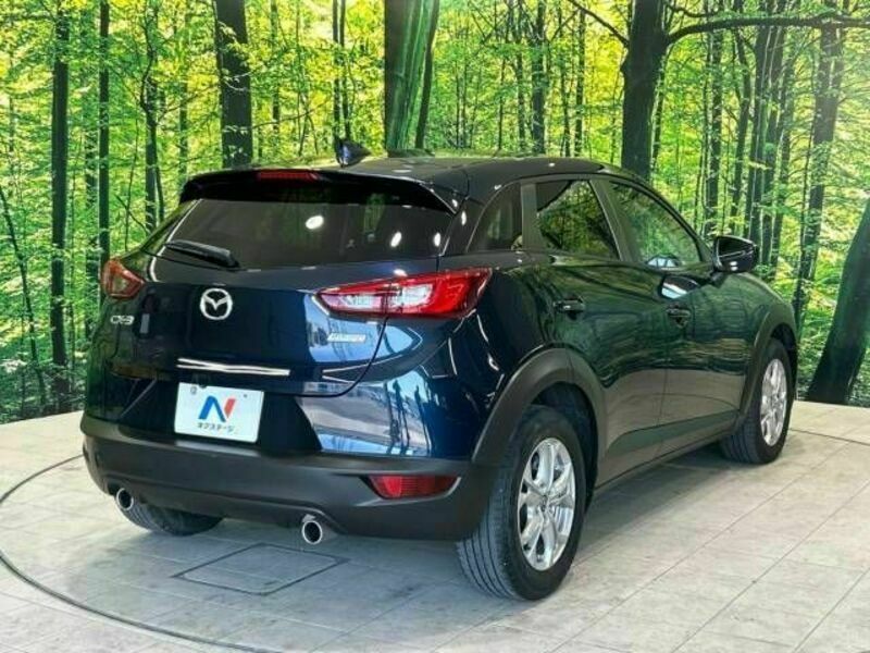 CX-3-17