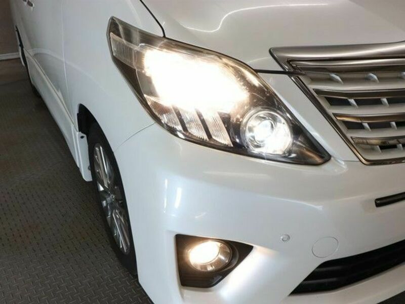 ALPHARD-25