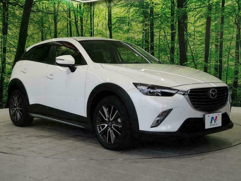 CX-3-10