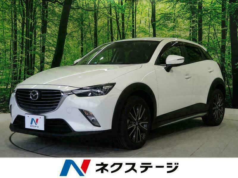 CX-3-13