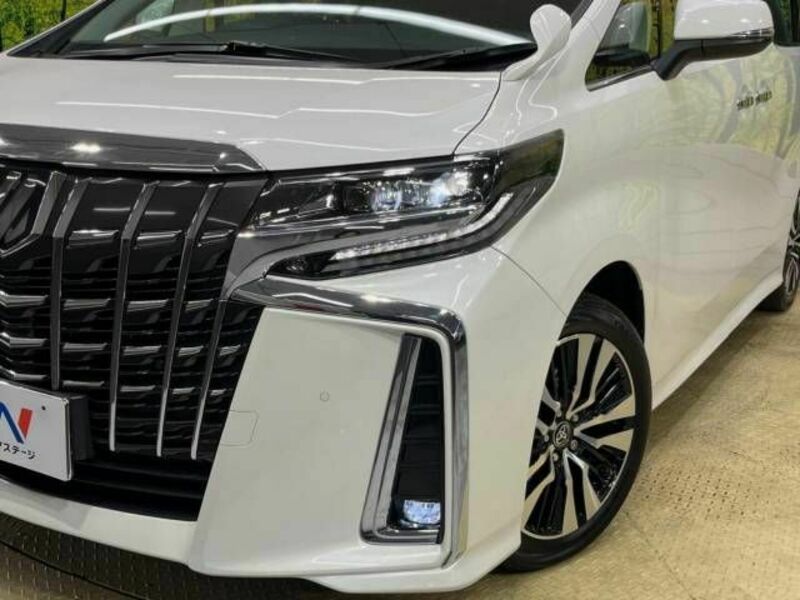 ALPHARD-13