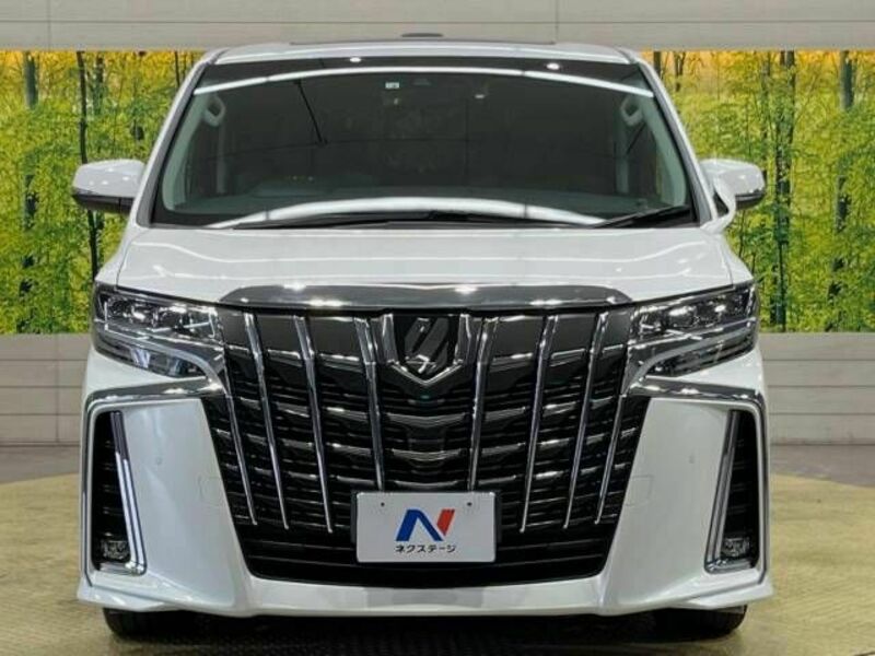 ALPHARD-15