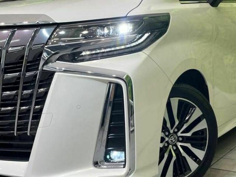 ALPHARD-12