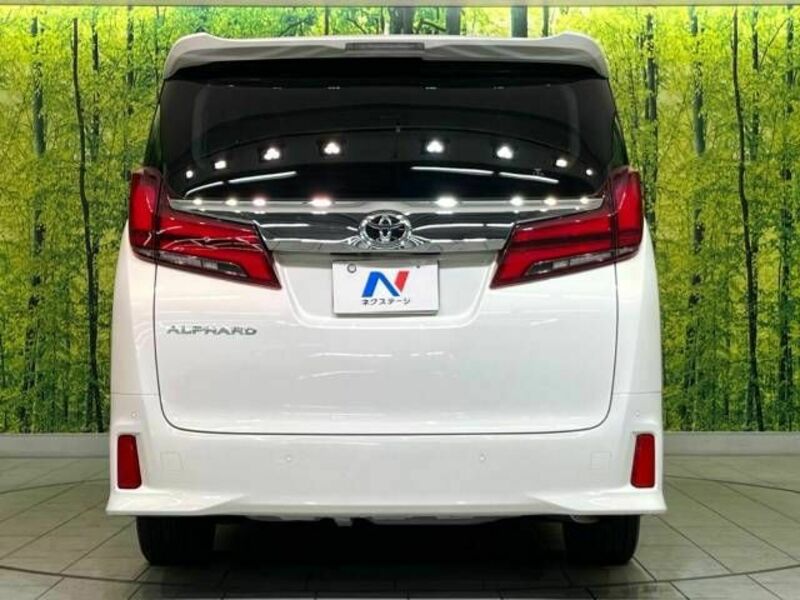 ALPHARD-15