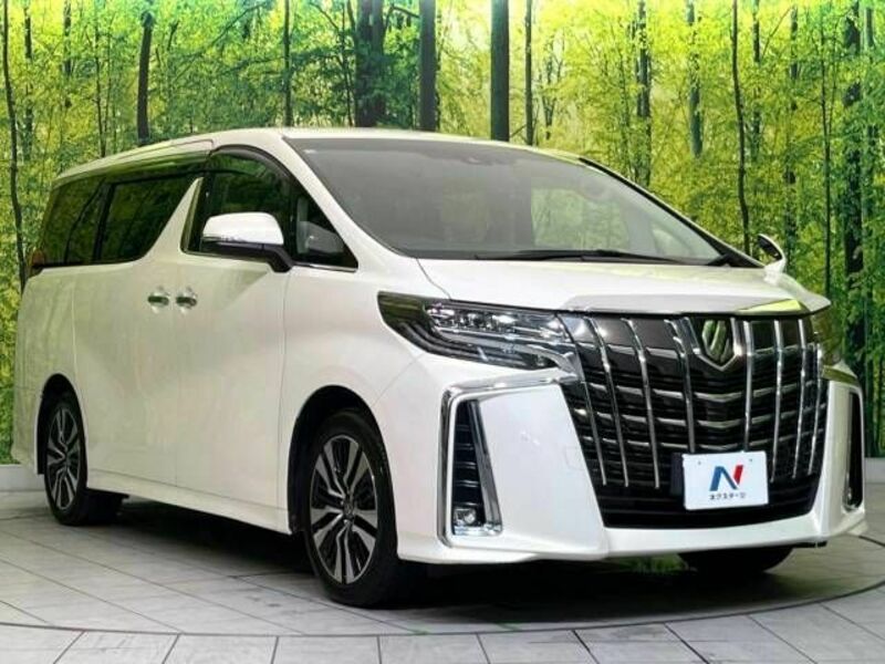 ALPHARD-16