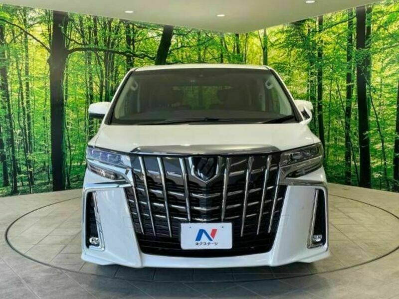 ALPHARD-16