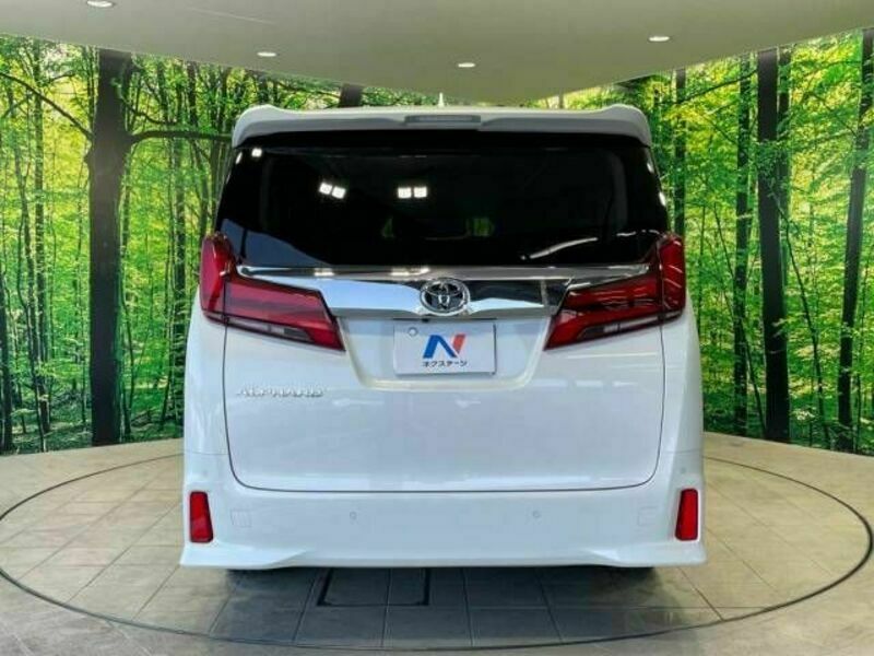 ALPHARD-17