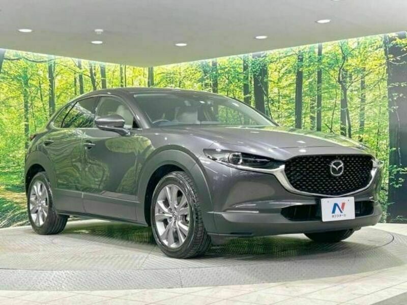 CX-30-16