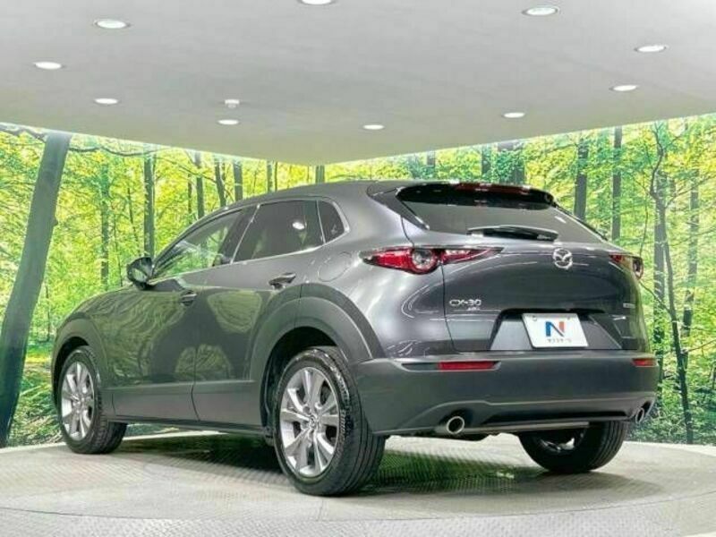 CX-30-17