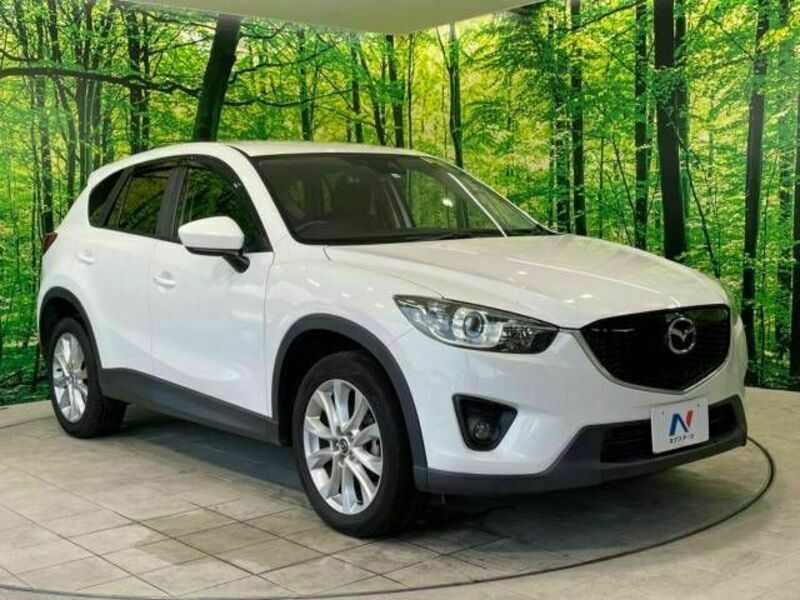 CX-5-17