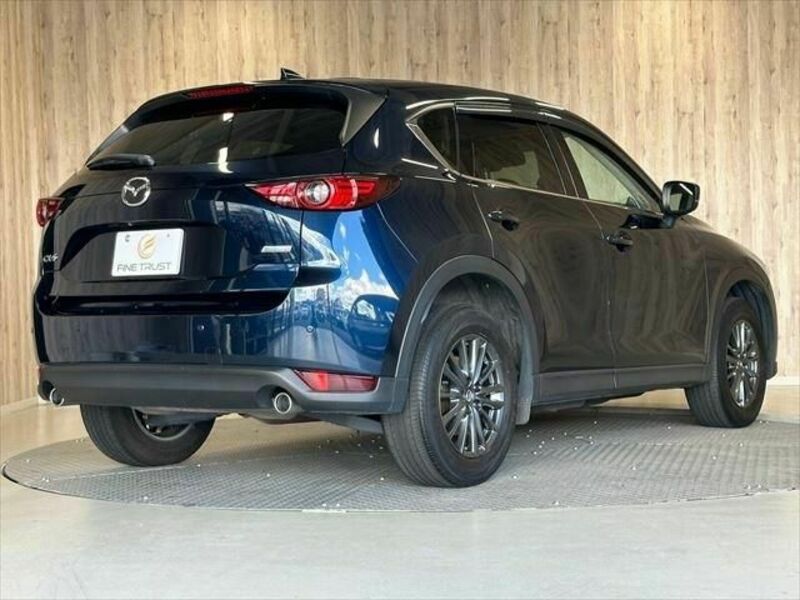 CX-5-19