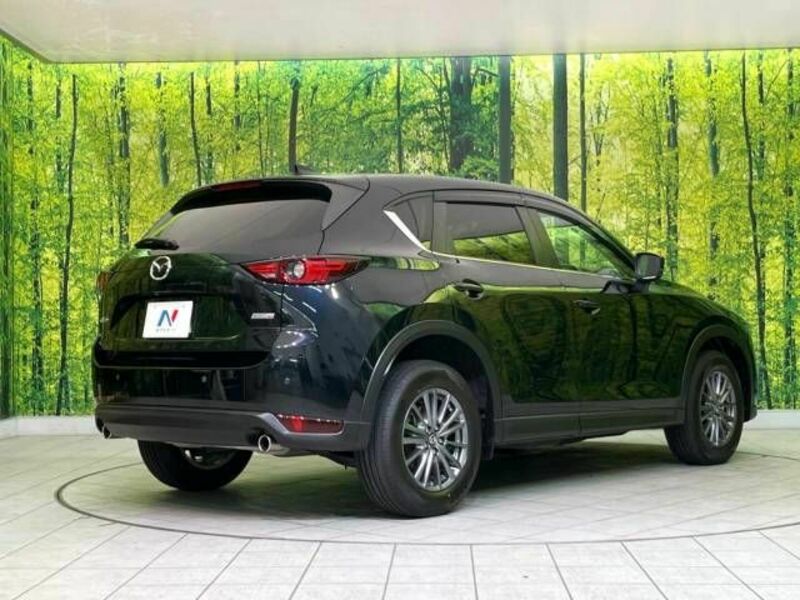 CX-5-17