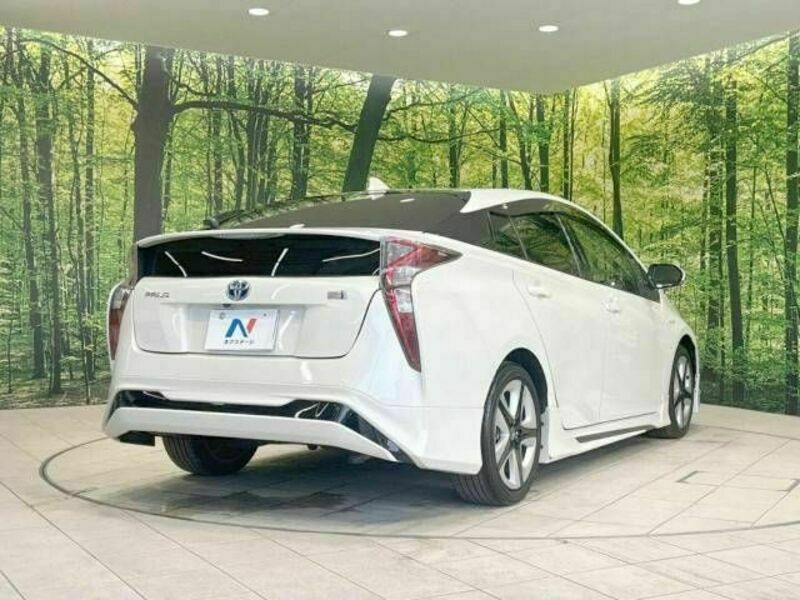 PRIUS-17