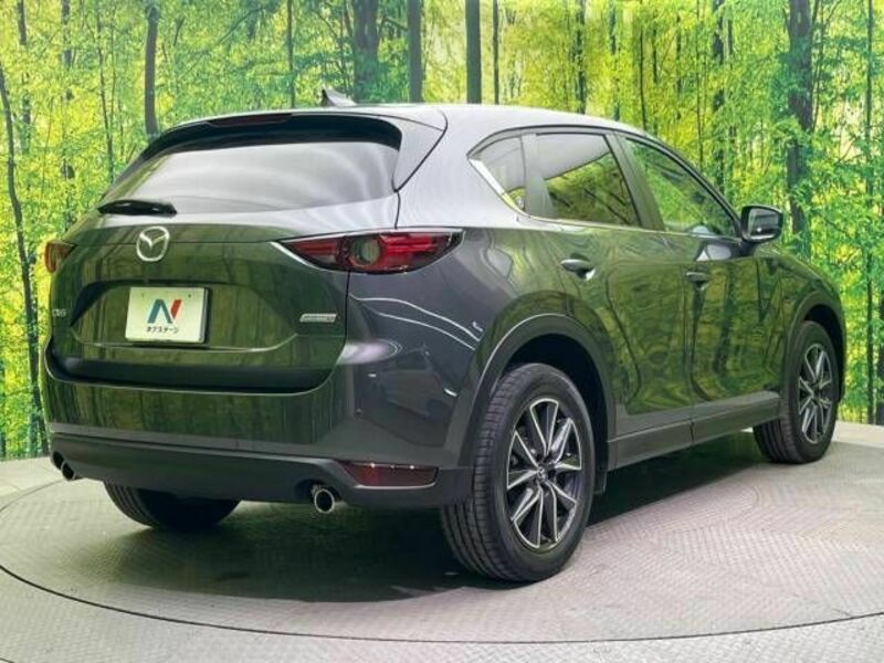 CX-5-17