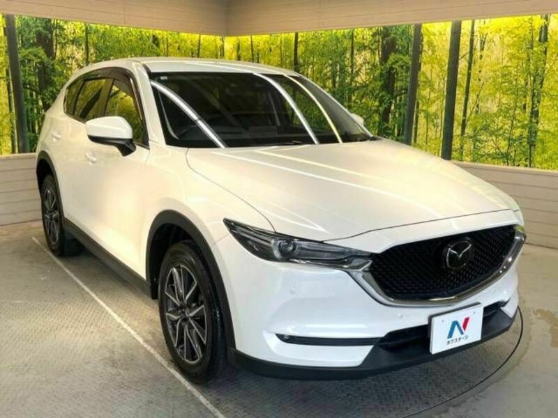 CX-5-16