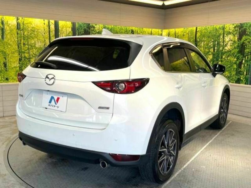 CX-5-17