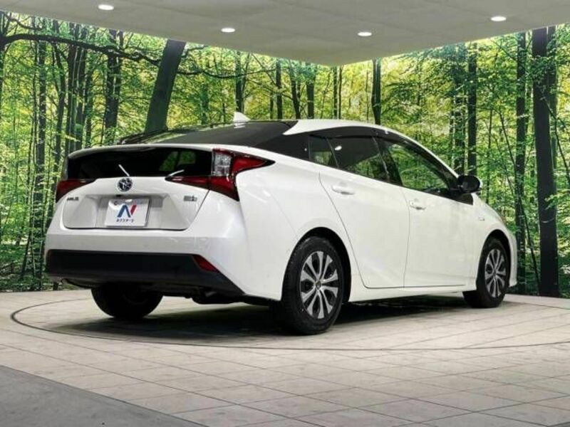 PRIUS-17