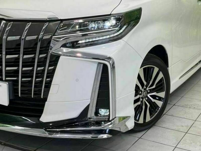 ALPHARD-13