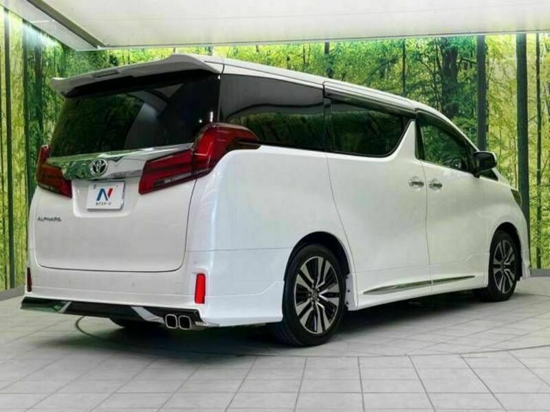 ALPHARD-18