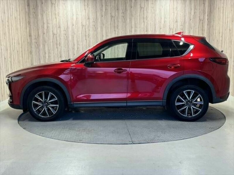 CX-5-19