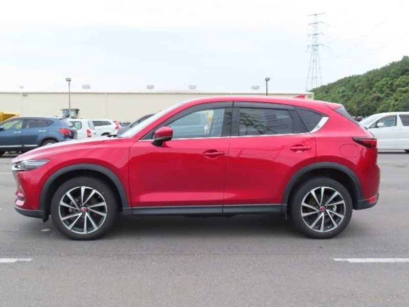 CX-5-6