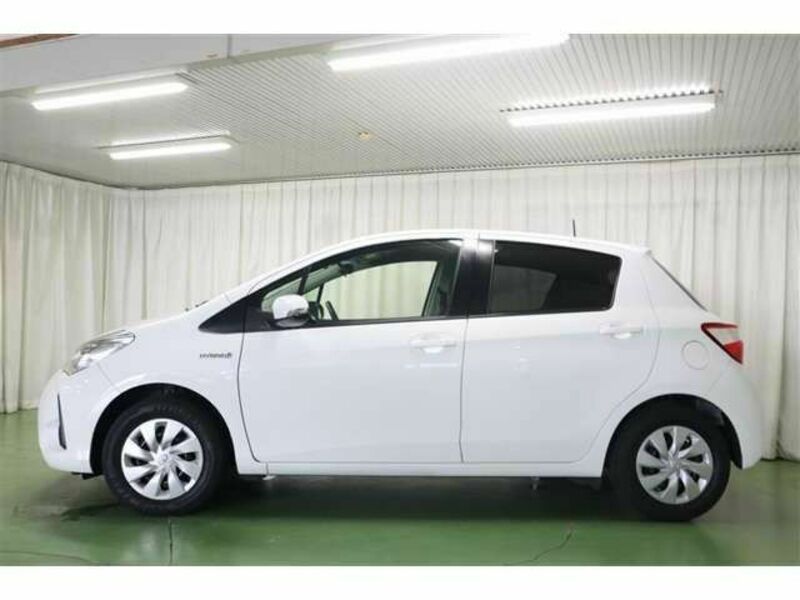 VITZ-2