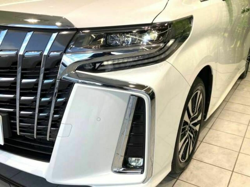 ALPHARD-11