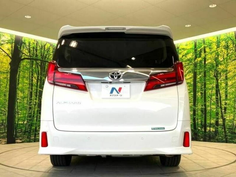 ALPHARD-14